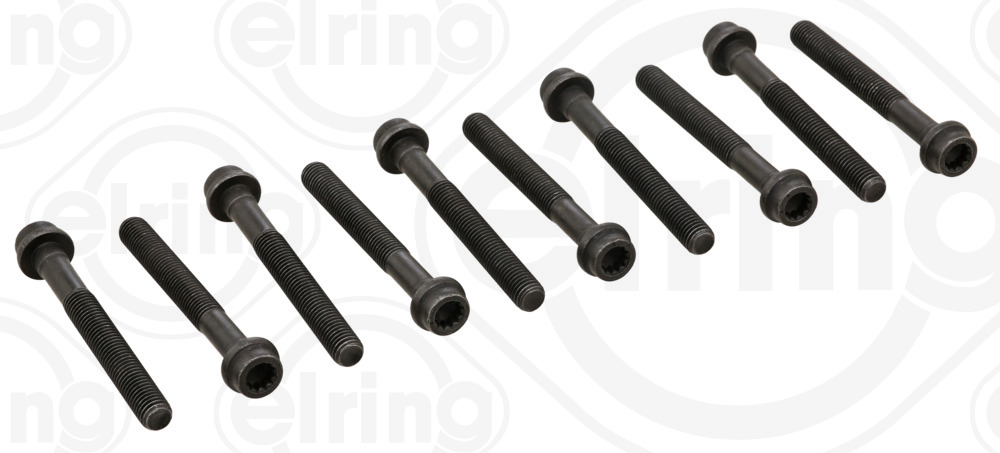 Cylinder Head Bolt Set - 456.111 ELRING - 1029900810, 016276B, BK5390