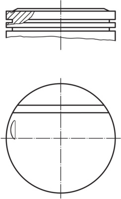 0021600, Píst, Kompletní píst - včetně kroužků a čepu, Píst komp., MAHLE, 08920311108900, 1020305217, 93845600, 1020305617, 1020307519, 1020308017, A1020305217, A1020305617, A1020307519, A1020308017