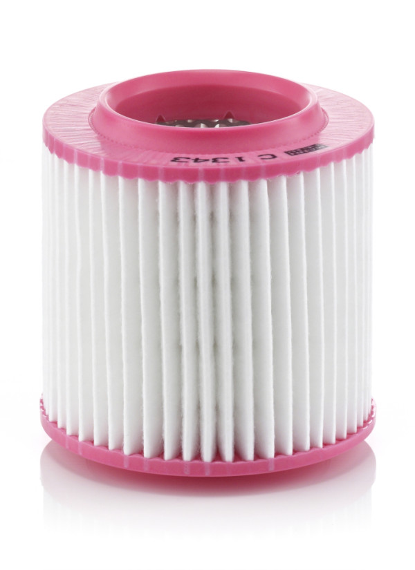 C 1343, Air Filter, Filter, MANN-FILTER, 4E0129620A, 4E0129620D, 0986AF2907, 1123210023, 30947828, 47828, A1831, ADV182228, AF174, AG1480, E724L, EAF665, PA3222, S7696A1