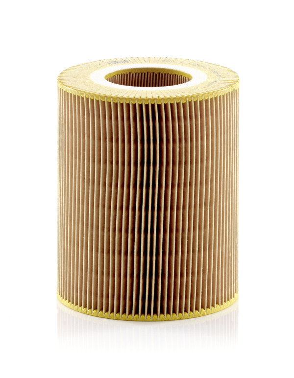 Air Filter - C 1381 MANN-FILTER - 1660940004, A1660940004, 0120940053