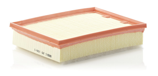 Air Filter - C 25 109/1 MANN-FILTER - 16-123210016, 20.37.88/20, 30.374.00