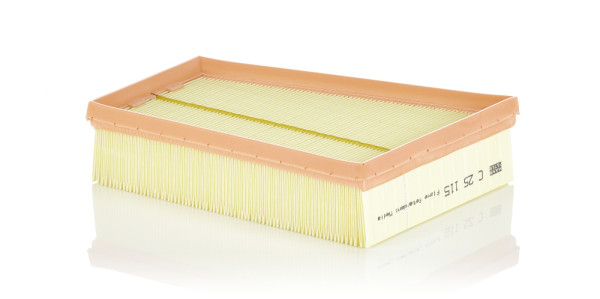 Air Filter - C 25 115 MANN-FILTER - 0986B02513, 16-123210015, 165465086R