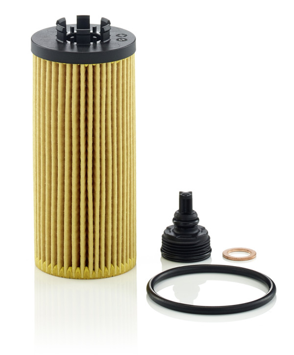 HU 6012 Z KIT, Oil Filter, Filter, MANN-FILTER, 10-ECO159, 11428593186, 170546, 25.211.00, 4959-OX, ADBP210008, ALO-8781, CH12454ECO, E951HD497, EOF336, F026407277, FA6816ECO, FO-ECO159, L1133, MD-3021, ML4585, OE672/9, OP1066, OX1238D, S5211PE, WL7556, 50014959