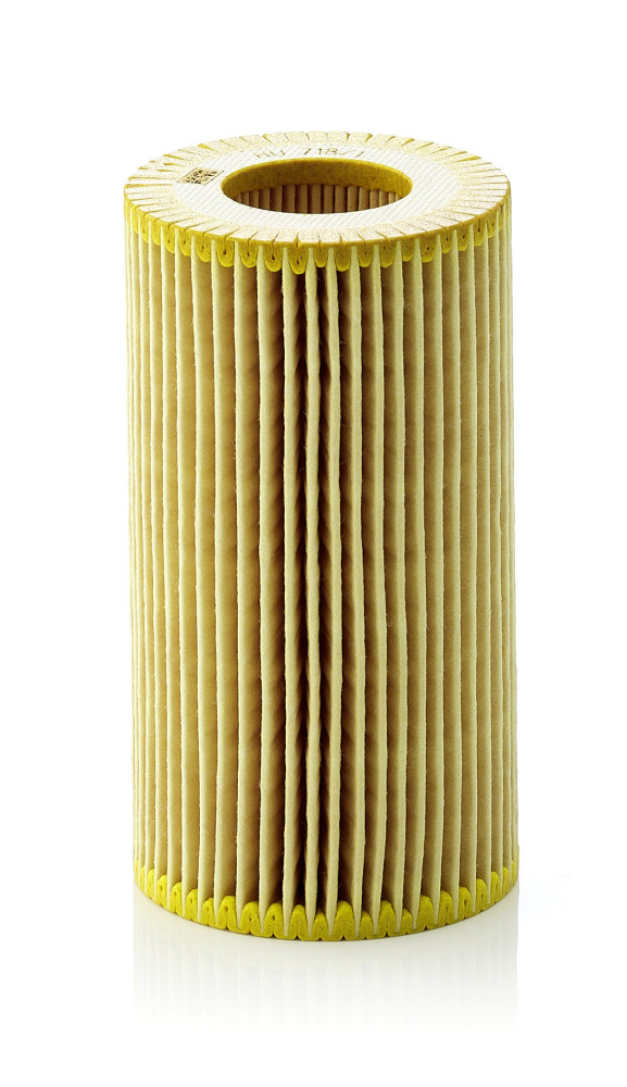 HU 718/1 N, Ölfilter, Ölfilter, MANN-FILTER, 3117321, 5650319, 90544191, 4772166, 90540460, 9117321, 90570368, 1045, 109144, 10-ECO005, 14008, 1457429157, 152071758817, 22.39.23/10, 25.003.00, 50013569, 5510, 558000501P, 586505, 6143220001, 64702, 7584008, AC209, AC-8018, ADZ92118, ALO-8149, AS1528, CH5993, COF100507E, E11HD52